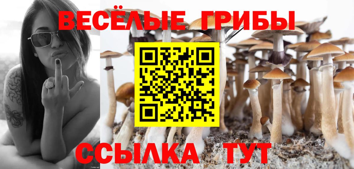 Галлюциногенные грибы GOLDEN TEACHER  Вход с VPN  Псилоцибиновые грибы Psilocybine cubensis  Аша 